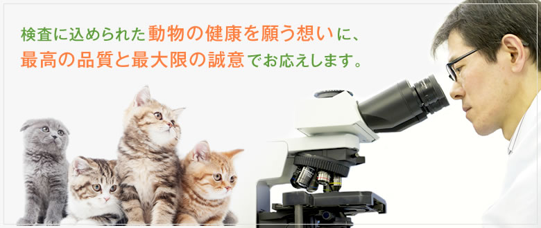 株式会社エム・エル・ティー